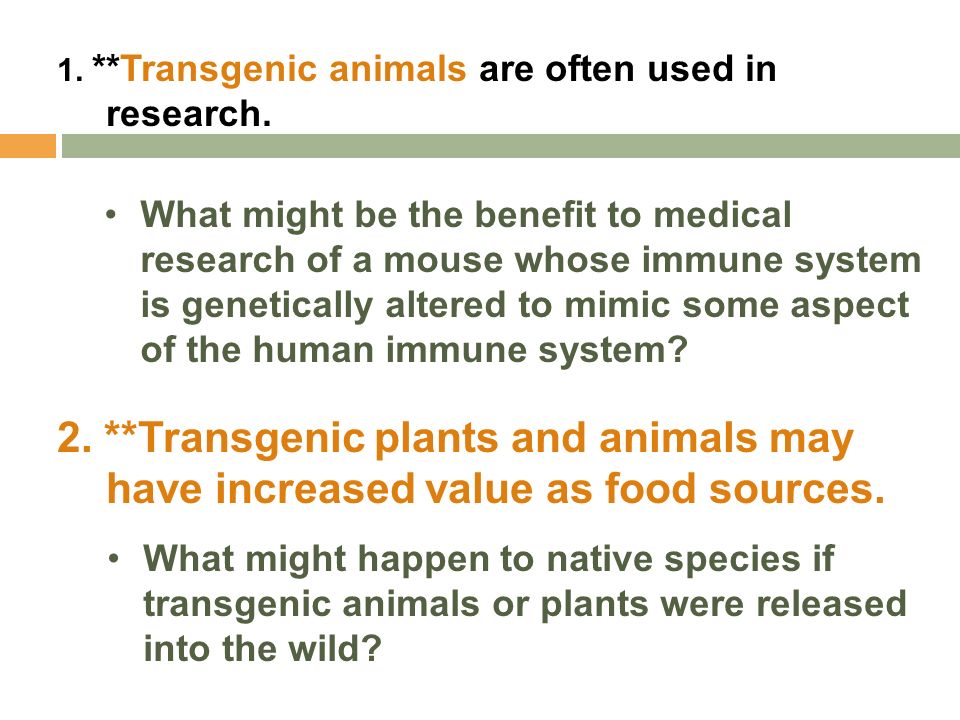 1. **Transgenic animals are often used in research.