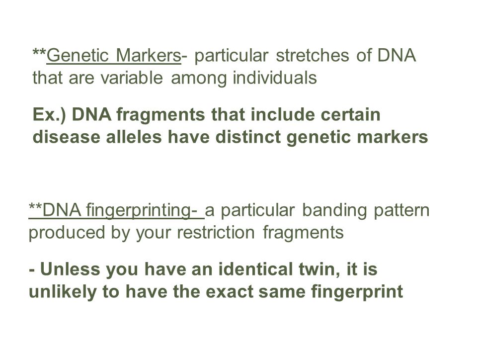 **Genetic Markers- particular stretches of DNA that are variable among individuals
