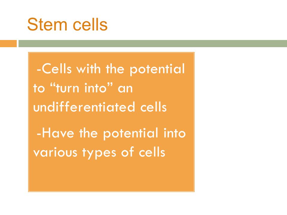 Stem cells -Cells with the potential to turn into an undifferentiated cells.