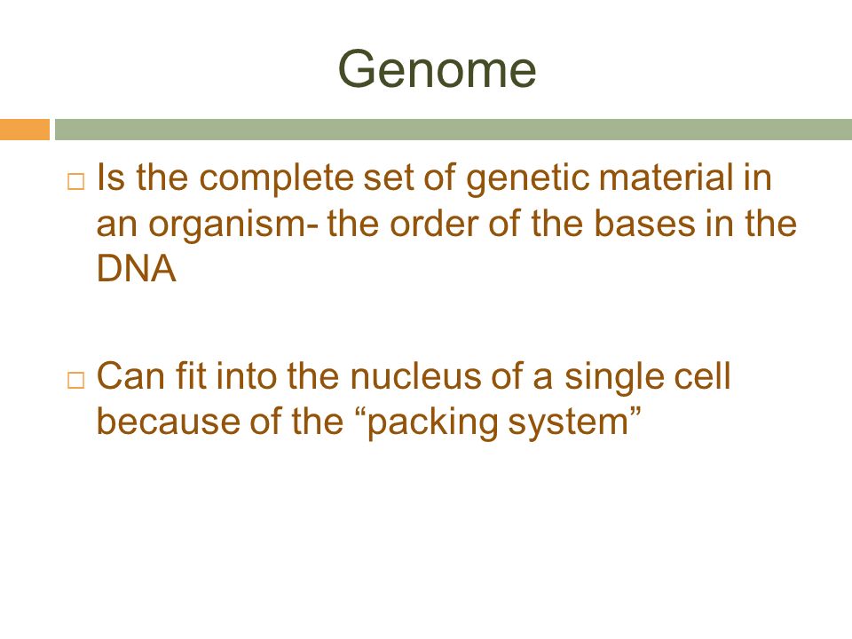 Genome Is the complete set of genetic material in an organism- the order of the bases in the DNA.