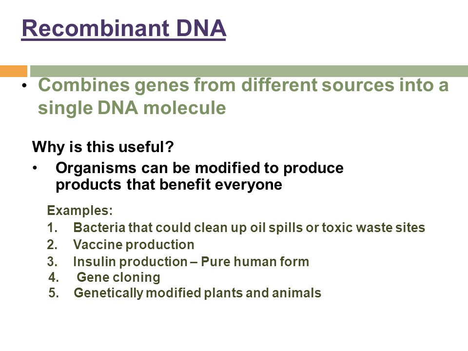 Recombinant DNA Combines genes from different sources into a single DNA molecule. Why is this useful