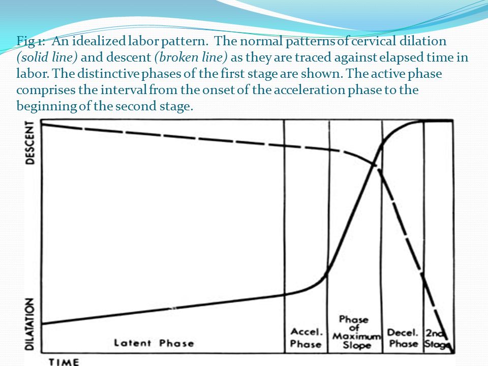 Fig 1: An idealized labor pattern