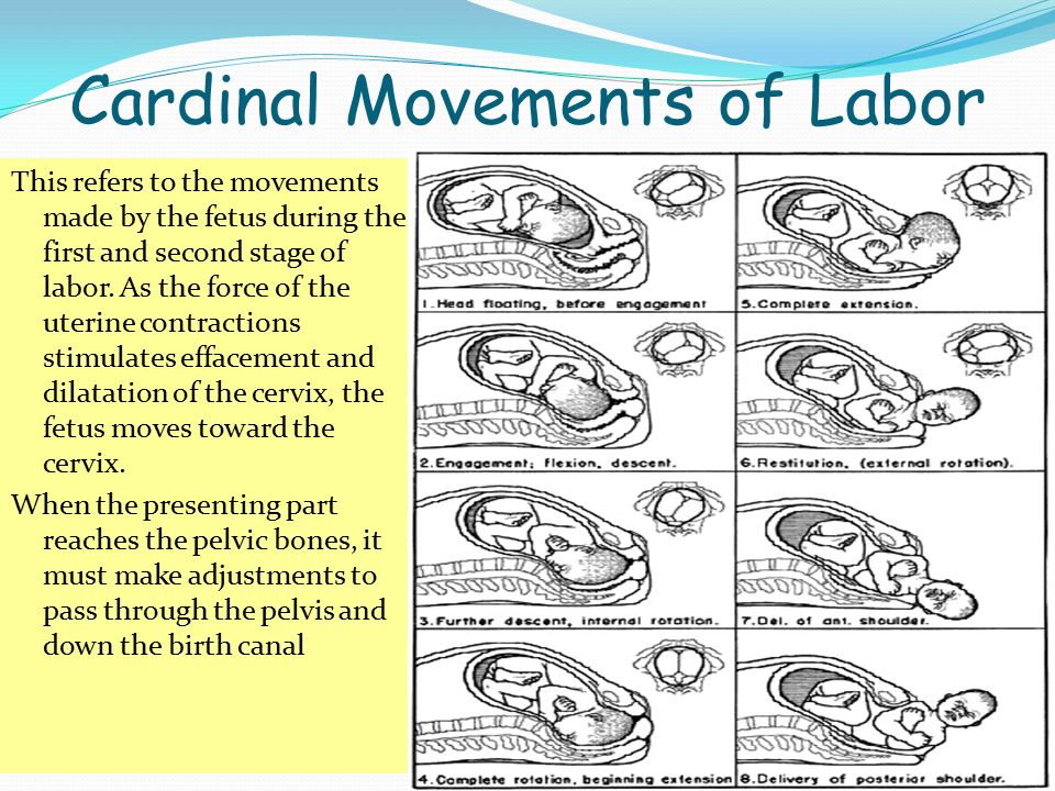 Cardinal Movements of Labor