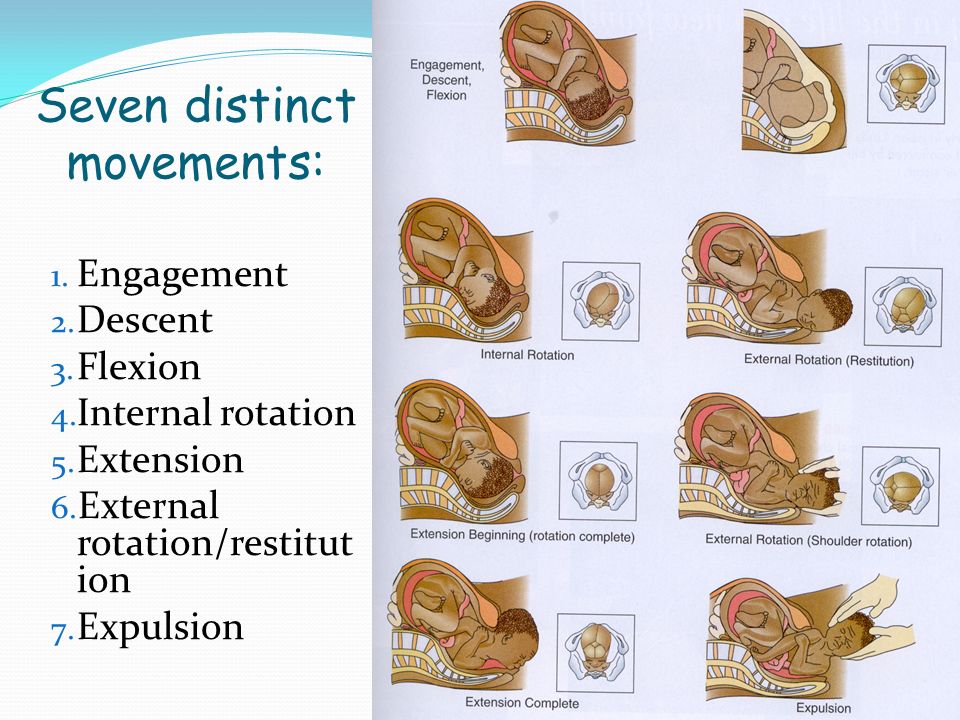 Seven distinct movements: