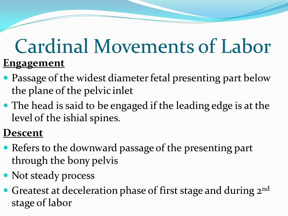 Cardinal Movements of Labor