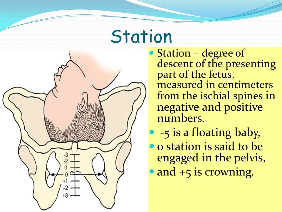 Station -5 is a floating baby,
