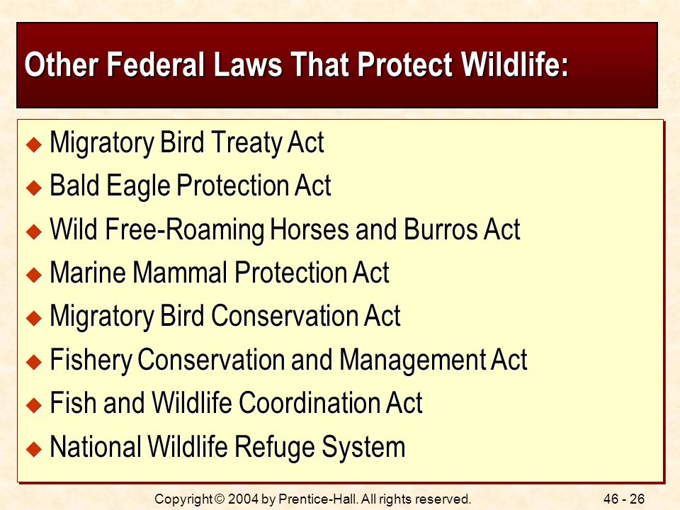 Other Federal Laws That Protect Wildlife: