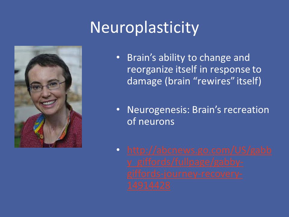 Neuroplasticity Brain’s ability to change and reorganize itself in response to damage (brain rewires itself)
