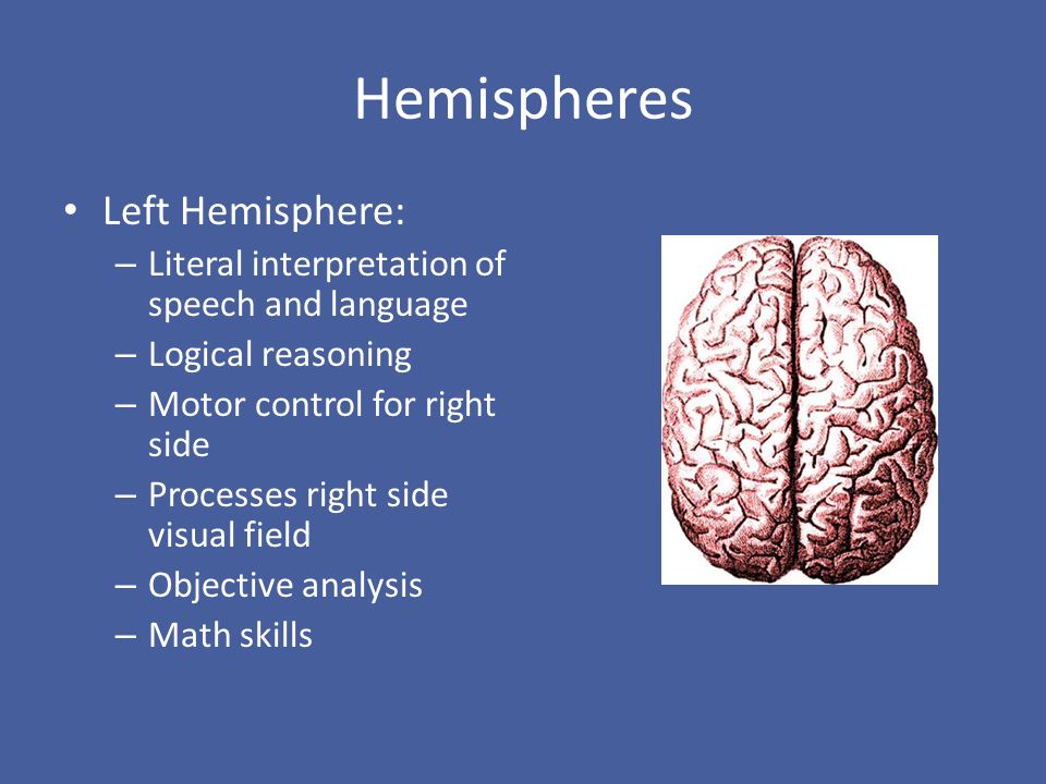 Hemispheres Left Hemisphere: