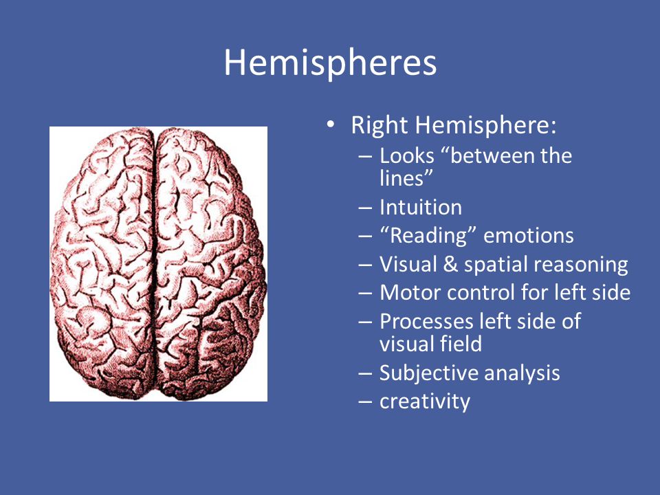 Hemispheres Right Hemisphere: Looks between the lines Intuition