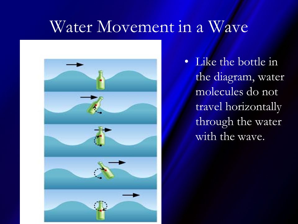 Water Movement in a Wave