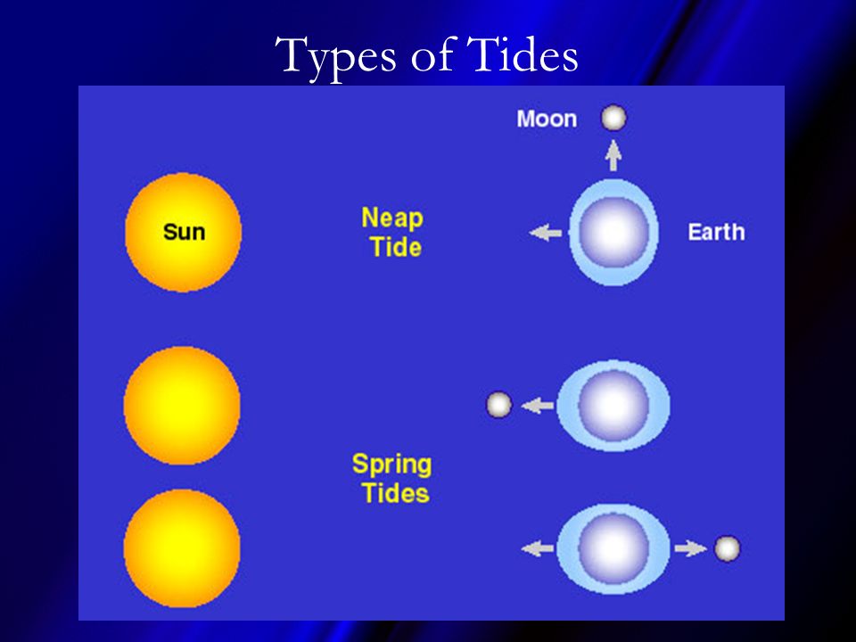 Types of Tides Tidal range = difference in levels of ocean water at high tide & low tide.