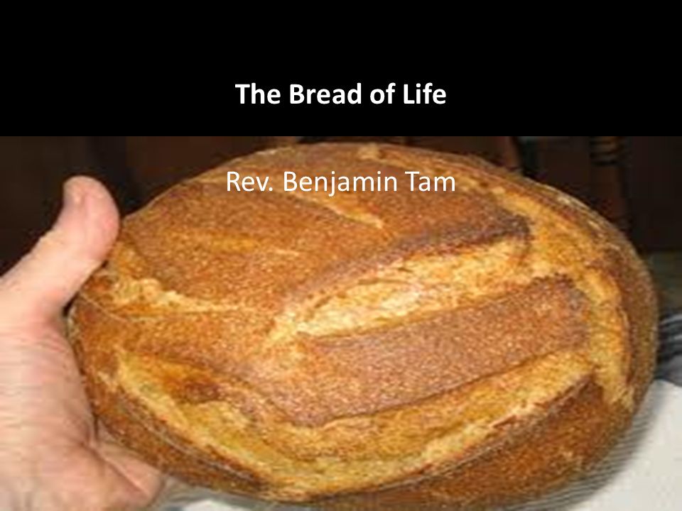 The Bread of Life Rev. Benjamin Tam