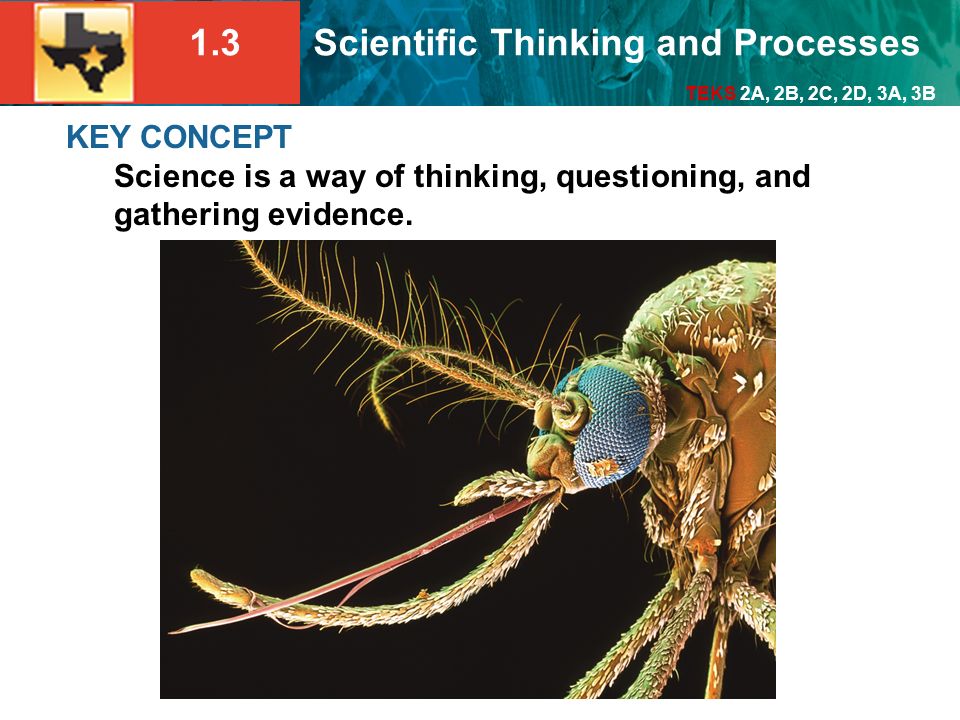 KEY CONCEPT Science is a way of thinking, questioning, and gathering evidence.