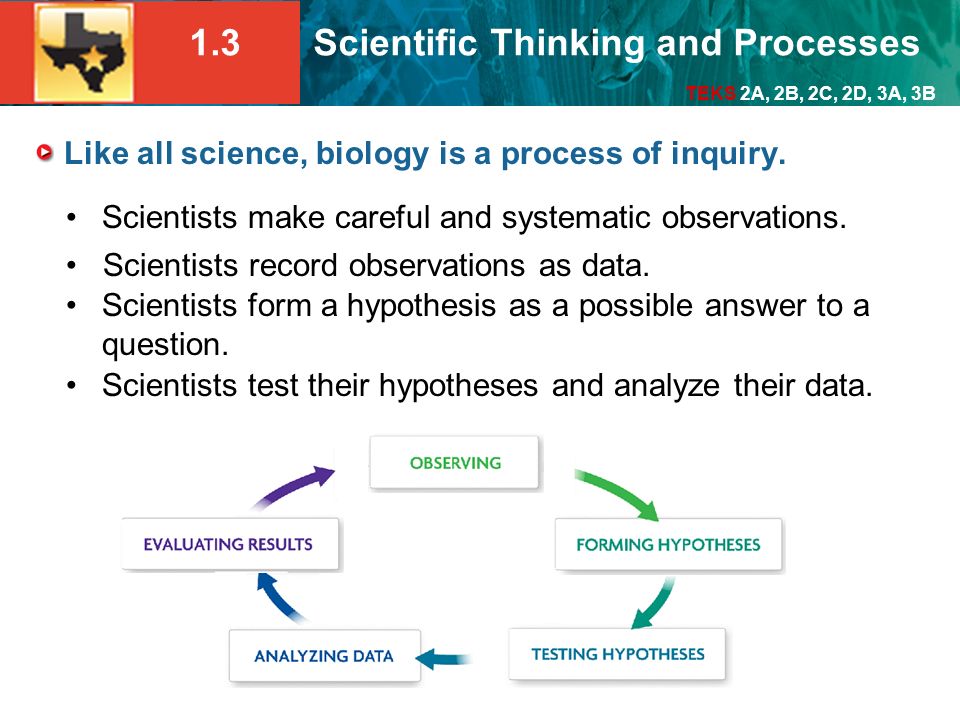 Like all science, biology is a process of inquiry.