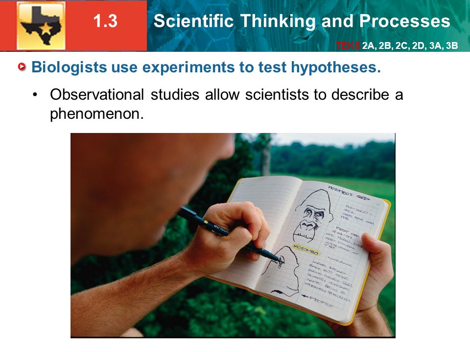 Biologists use experiments to test hypotheses.