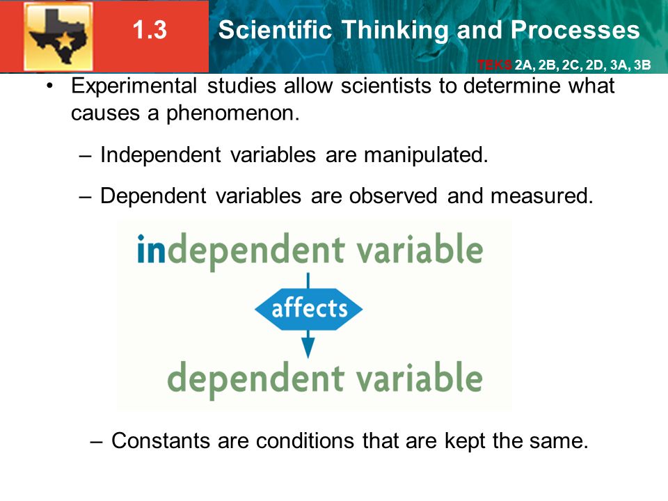 Independent variables are manipulated.