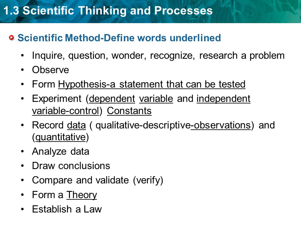 Scientific Method-Define words underlined