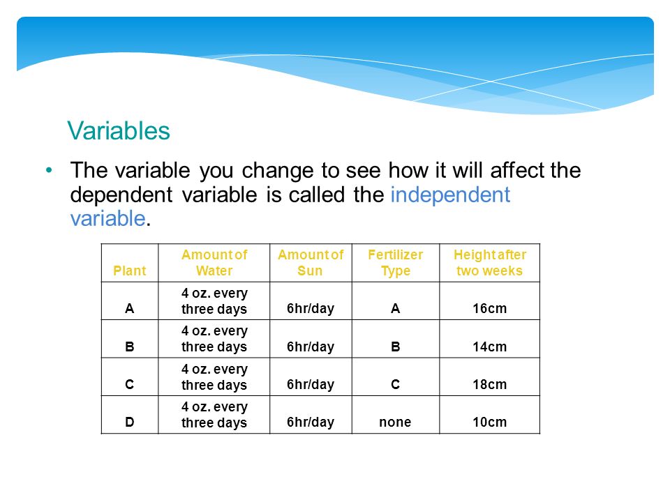 Variables The variable you change to see how it will affect the dependent variable is called the independent variable.