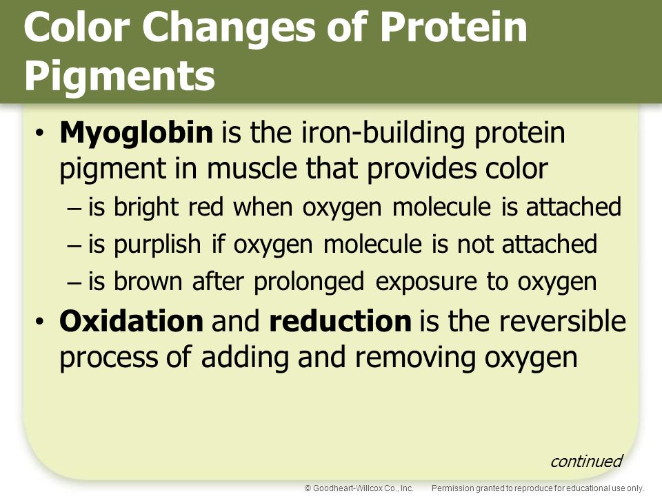 Color Changes of Protein Pigments