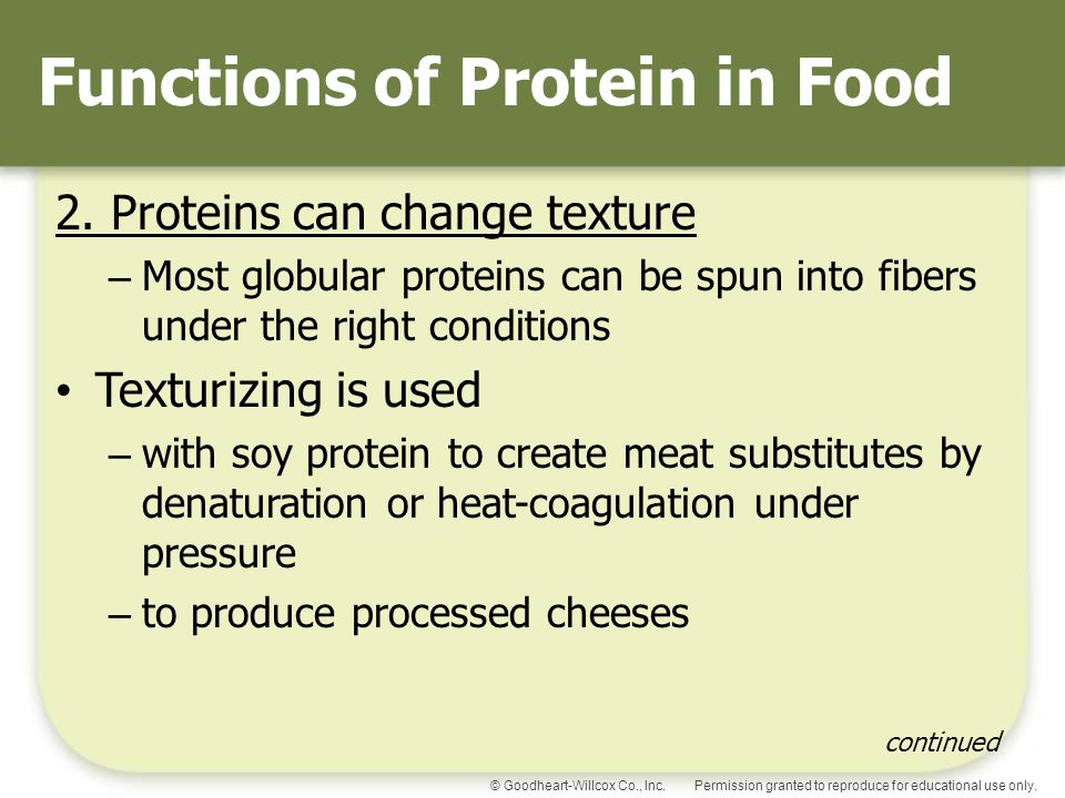 Functions of Protein in Food