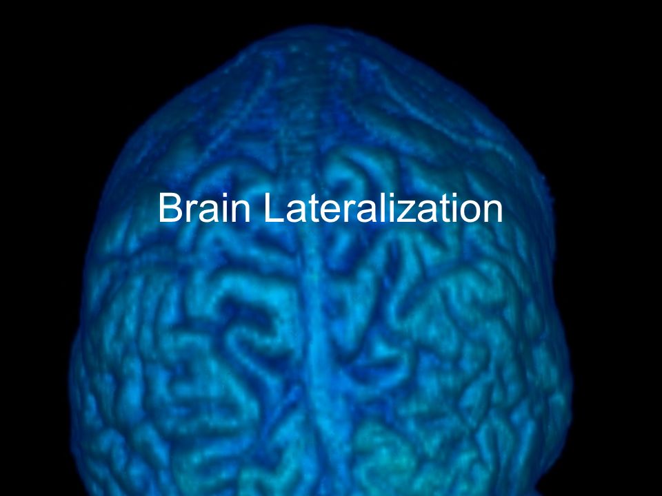 Brain Lateralization