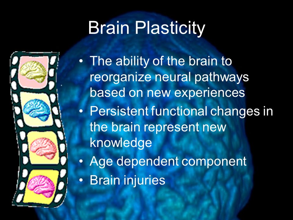 Brain Plasticity The ability of the brain to reorganize neural pathways based on new experiences.