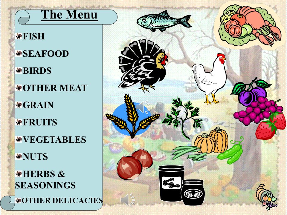 The Menu FISH SEAFOOD BIRDS OTHER MEAT GRAIN FRUITS VEGETABLES NUTS