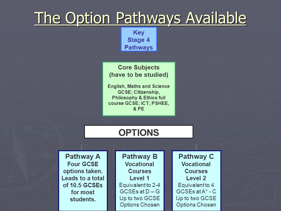 The Option Pathways Available