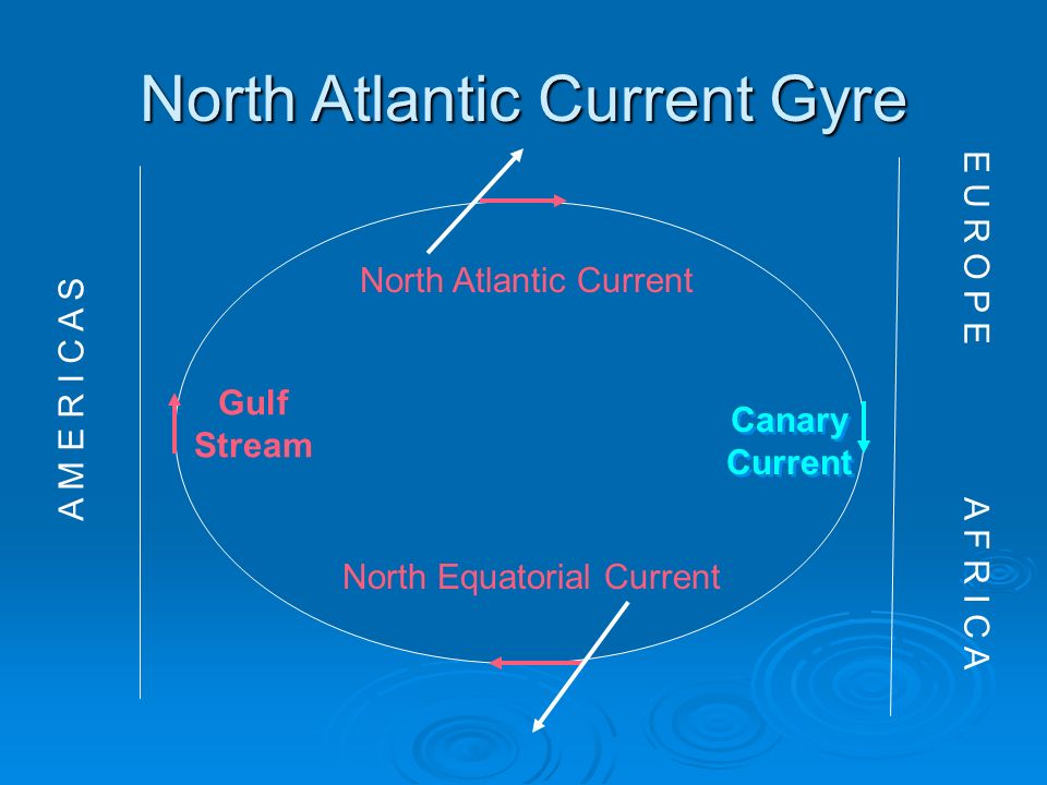 North Atlantic Current Gyre