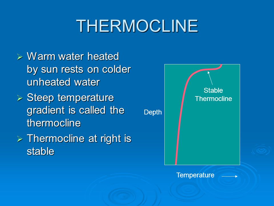 THERMOCLINE Warm water heated by sun rests on colder unheated water