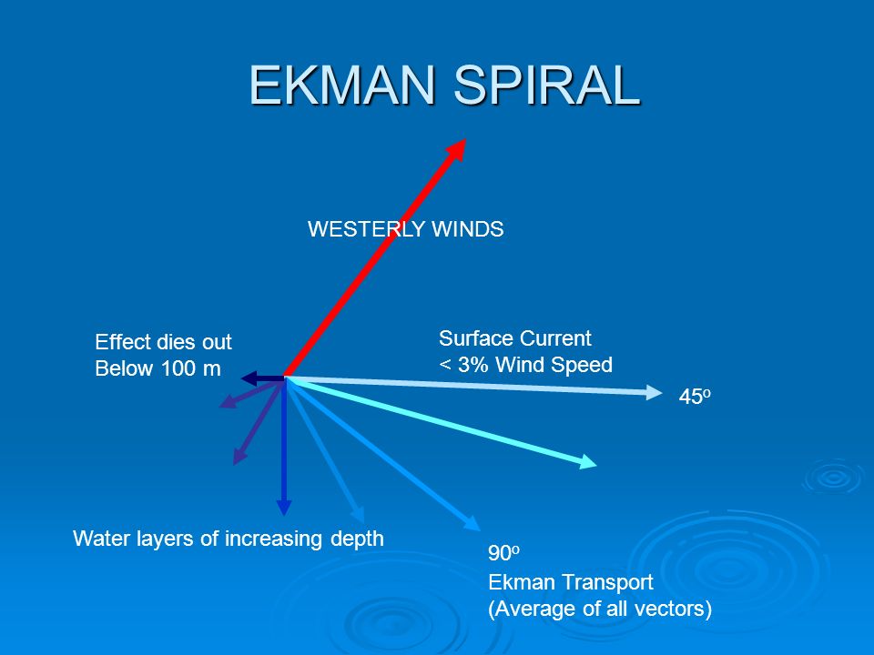 EKMAN SPIRAL WESTERLY WINDS Surface Current Effect dies out