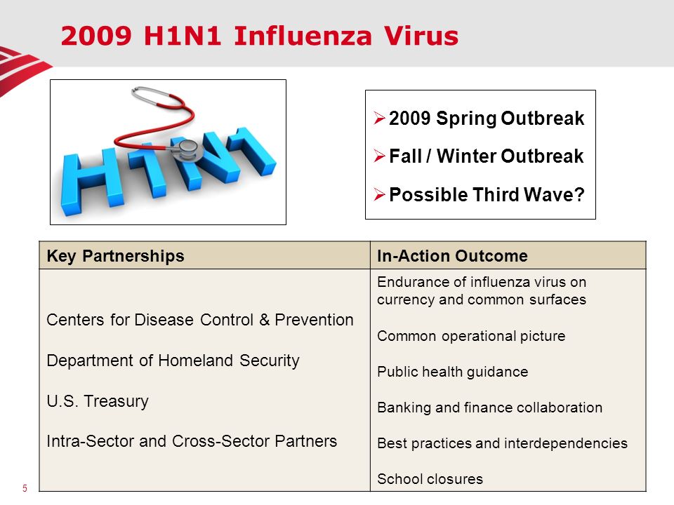 2009 H1N1 Influenza Virus 2009 Spring Outbreak Fall / Winter Outbreak