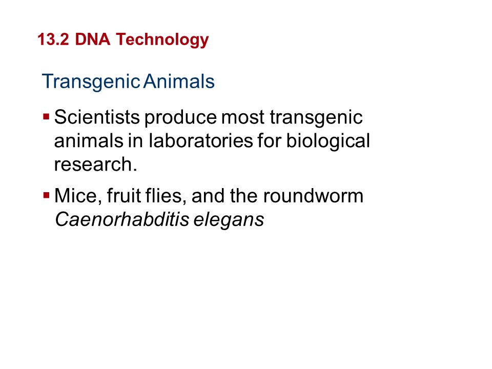 Mice, fruit flies, and the roundworm Caenorhabditis elegans