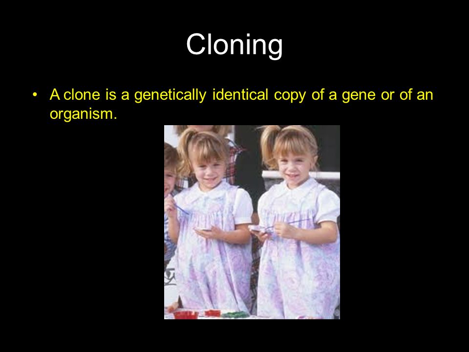 Cloning A clone is a genetically identical copy of a gene or of an organism.