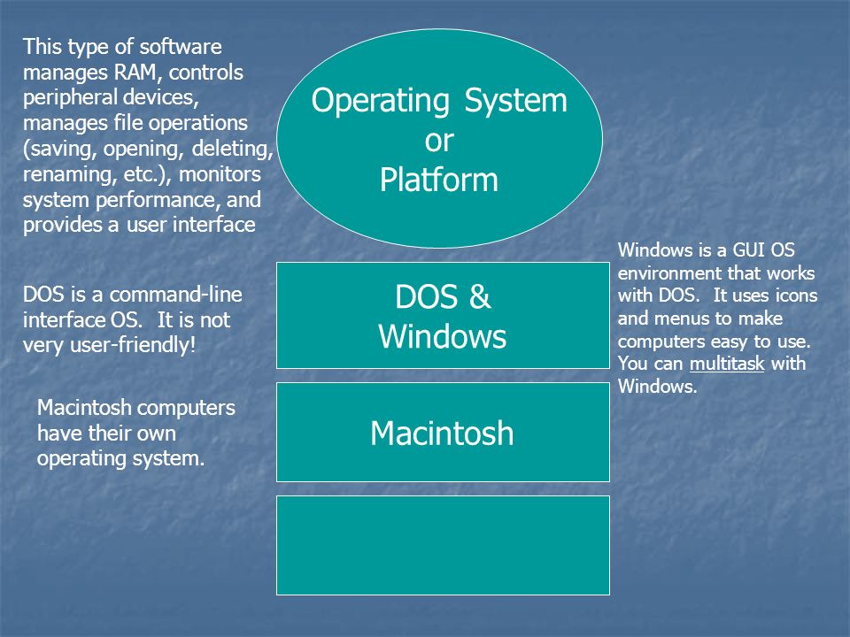 Operating System or Platform DOS & Windows Macintosh