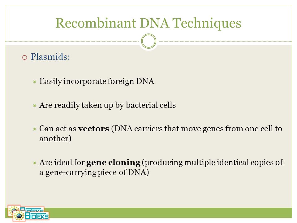 Recombinant DNA Techniques