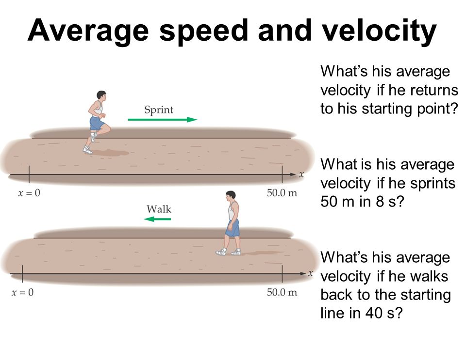 Average speed and velocity
