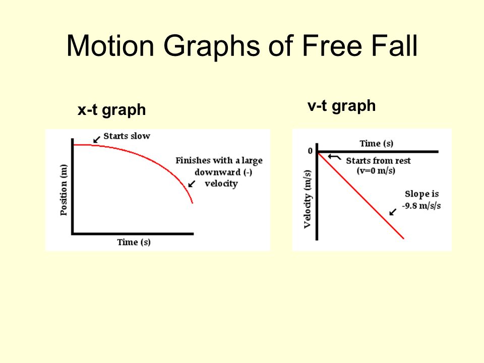 Motion Graphs of Free Fall