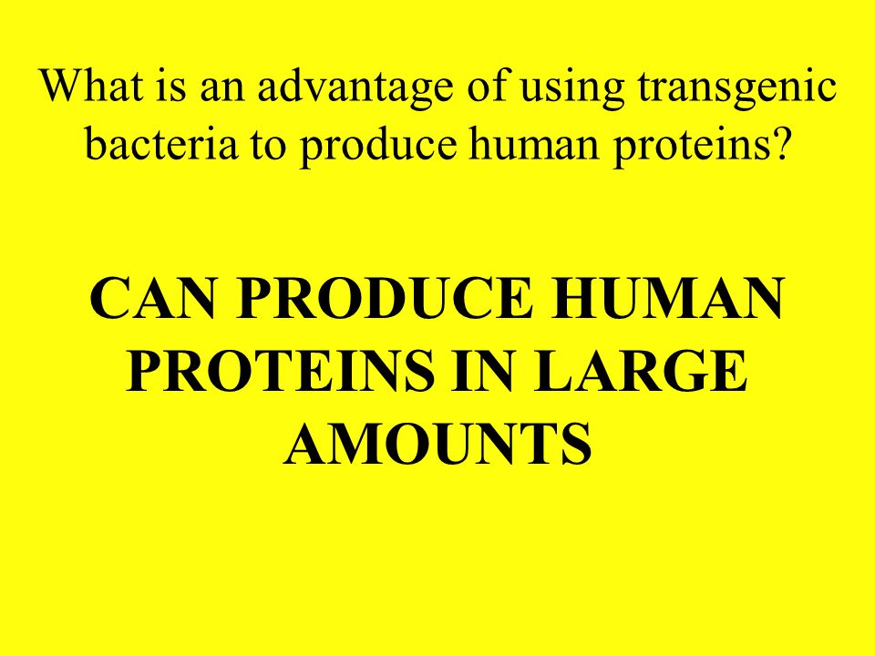 CAN PRODUCE HUMAN PROTEINS IN LARGE AMOUNTS