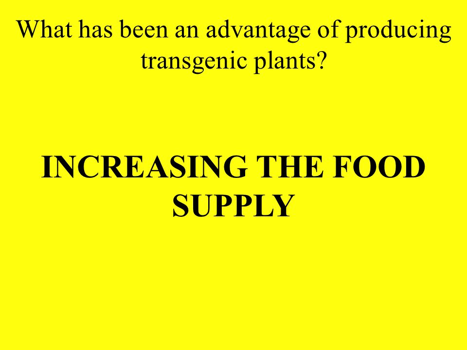 What has been an advantage of producing transgenic plants