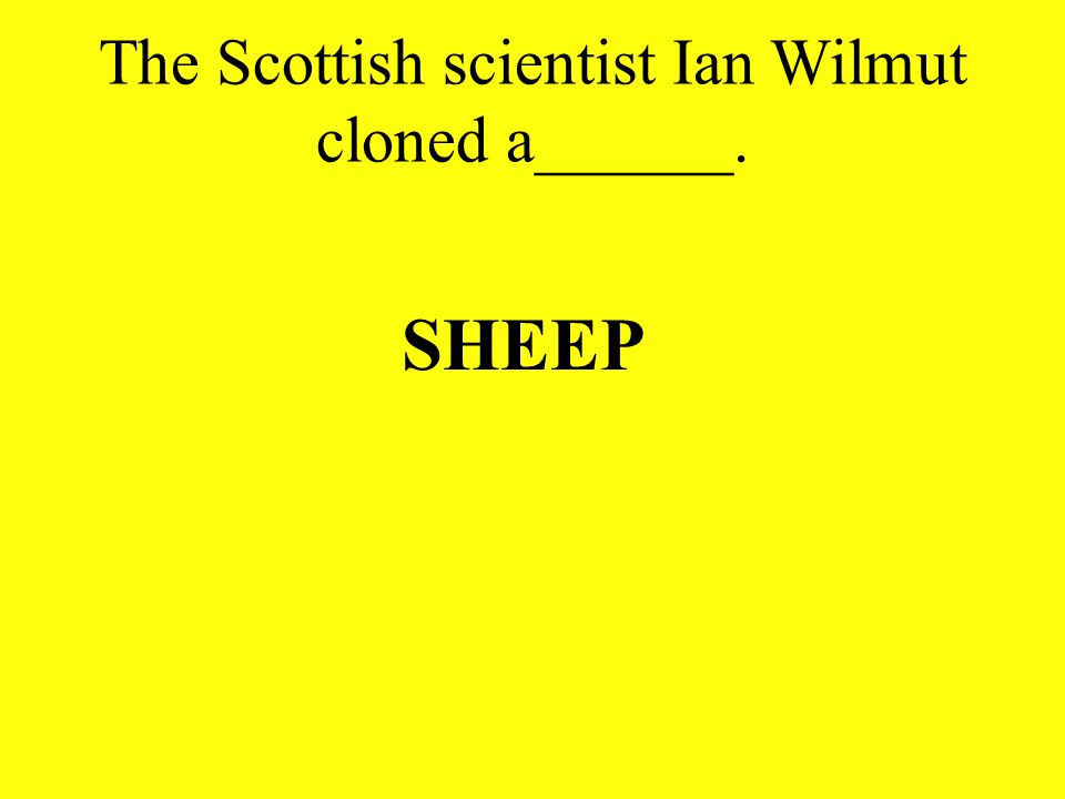 The Scottish scientist Ian Wilmut cloned a______.