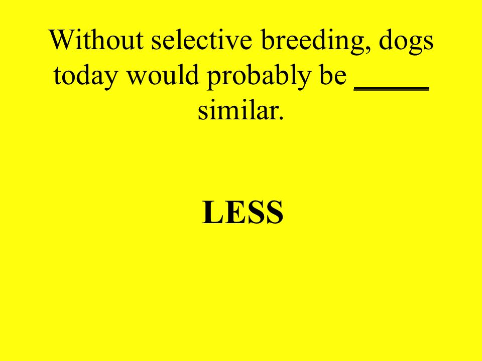 Without selective breeding, dogs today would probably be _____ similar.