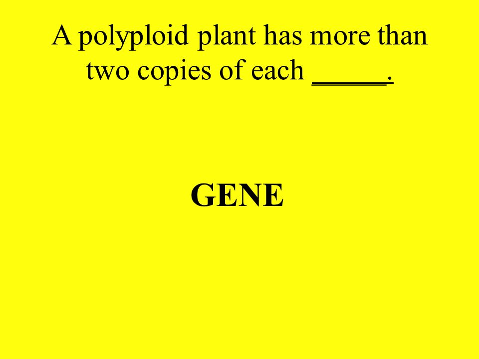 A polyploid plant has more than two copies of each _____.