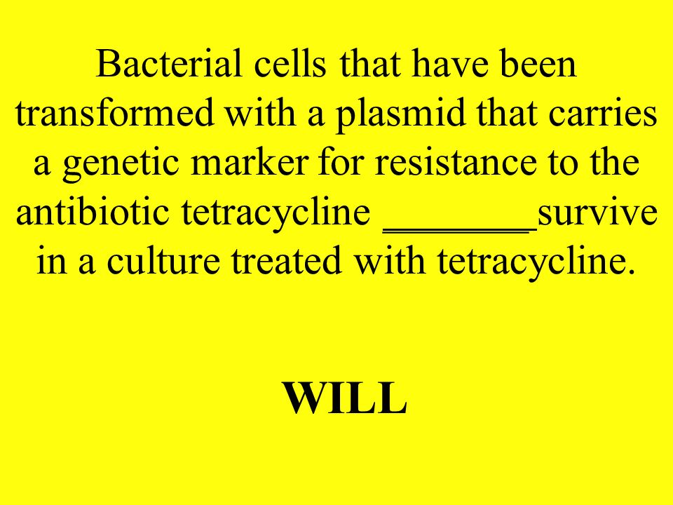 Bacterial cells that have been transformed with a plasmid that carries a genetic marker for resistance to the antibiotic tetracycline _______ survive in a culture treated with tetracycline.