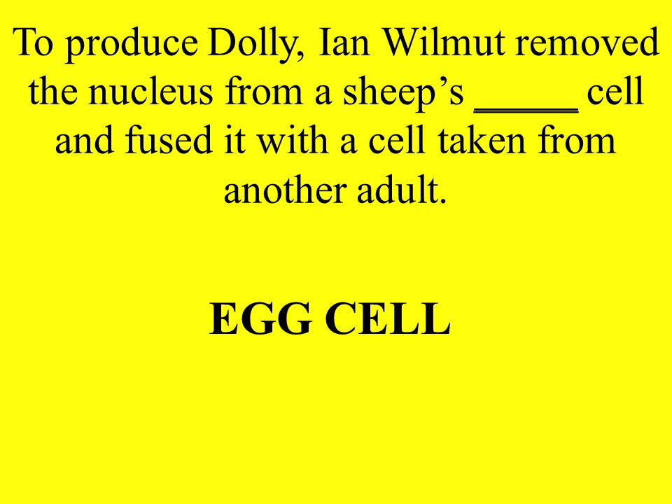 To produce Dolly, Ian Wilmut removed the nucleus from a sheep’s _____ cell and fused it with a cell taken from another adult.