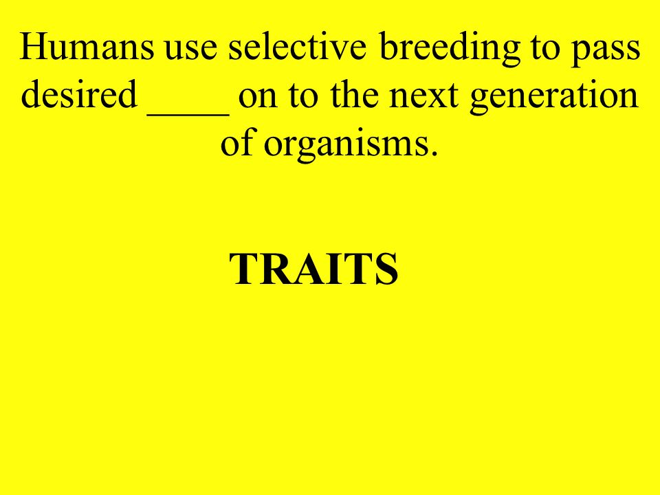Humans use selective breeding to pass desired ____ on to the next generation of organisms.
