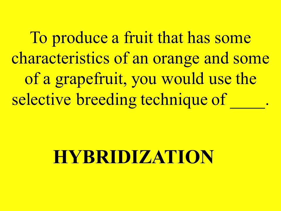 To produce a fruit that has some characteristics of an orange and some of a grapefruit, you would use the selective breeding technique of ____.