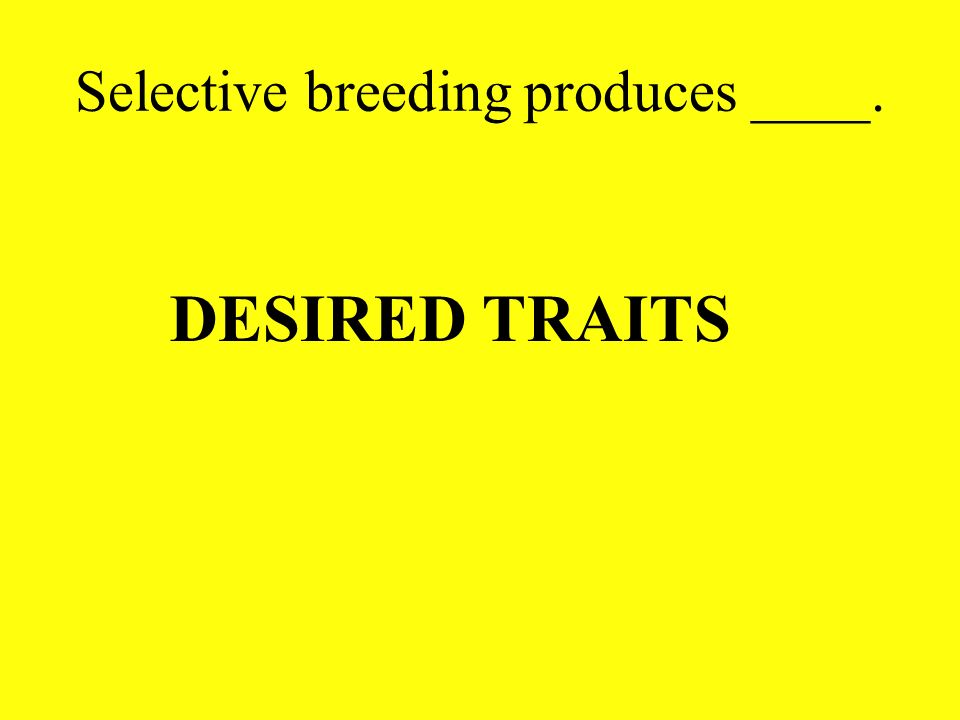 Selective breeding produces ____.