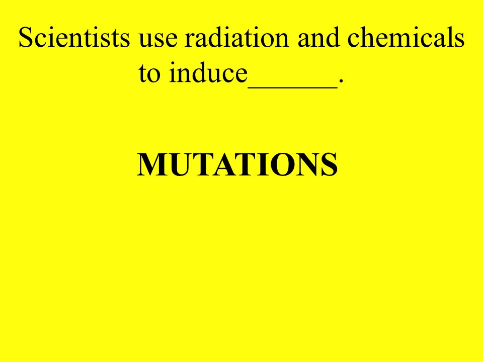 Scientists use radiation and chemicals to induce______.